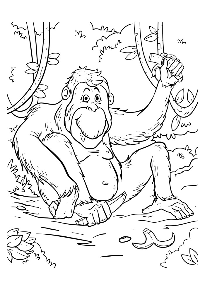 Desenho macaco em 2023  Desenho, Desenho realista, Desenhos