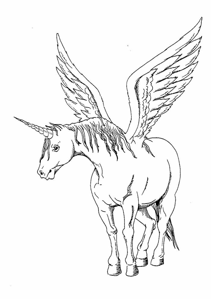 Unicórnio no meio de um campo de girassóis - Unicórnios - Coloring Pages  for Adults